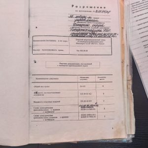 паспорт3